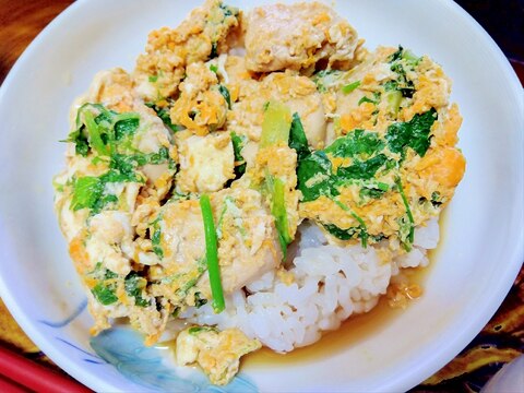 色々レタスの親子丼